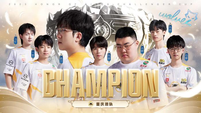 迷们的广泛